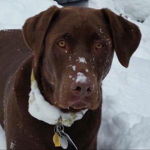 Meet your Posher, Ken